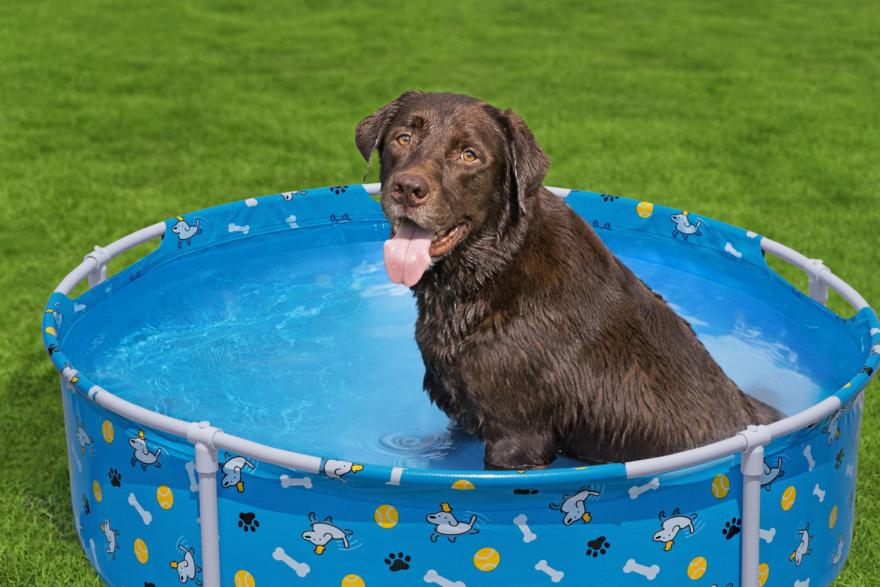 bestway-pool-fetchin-pet-play-122x30-5cm-15