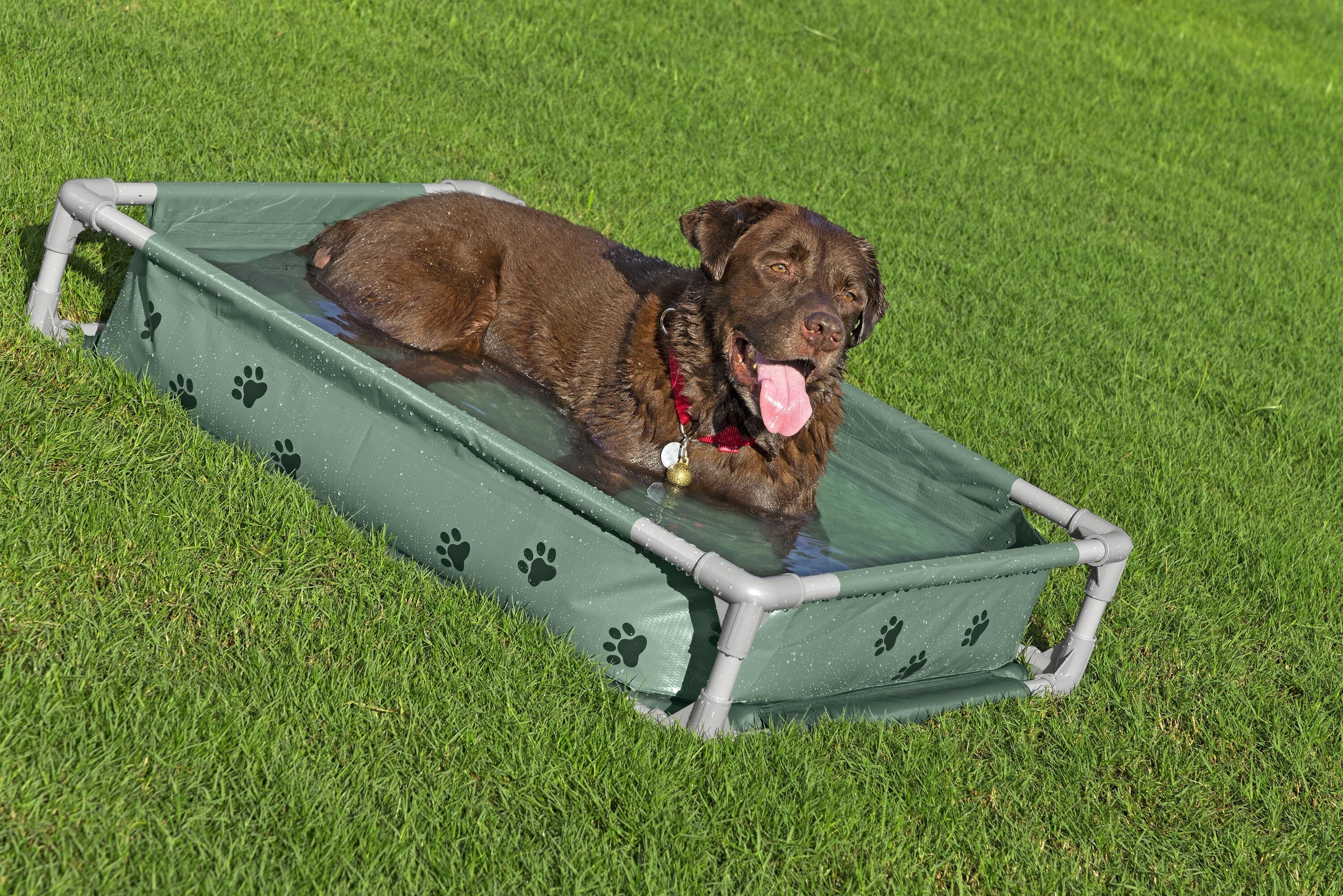 bestway-pool-fetchin-pet-play-pool-and-elevated-bed-102-x-74-x-20cm-green-9