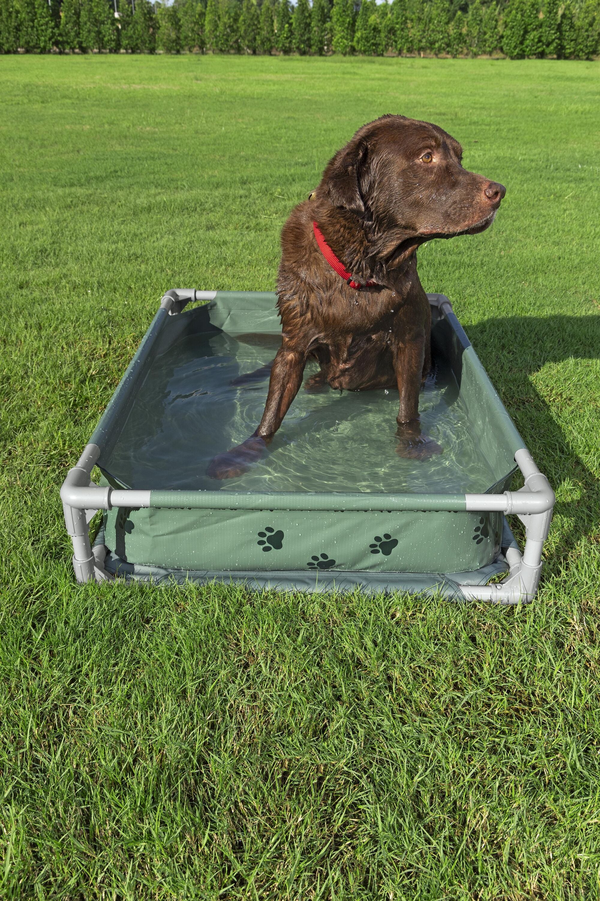 bestway-pool-fetchin-pet-play-pool-and-elevated-bed-102-x-74-x-20cm-green-10