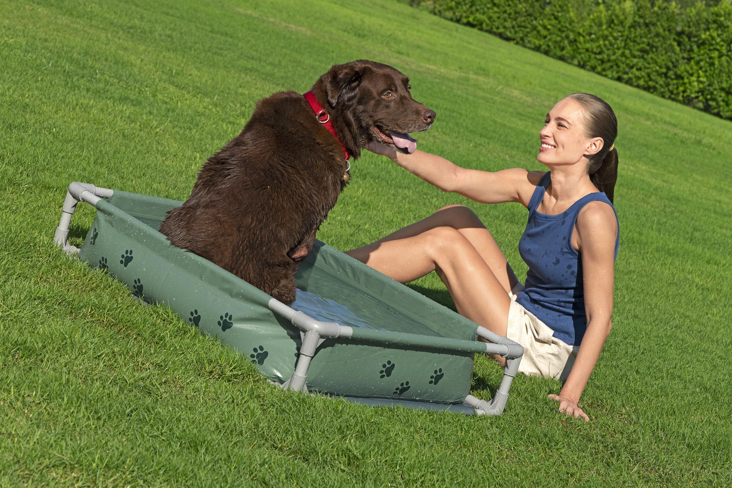 bestway-pool-fetchin-pet-play-pool-and-elevated-bed-102-x-74-x-20cm-green-11