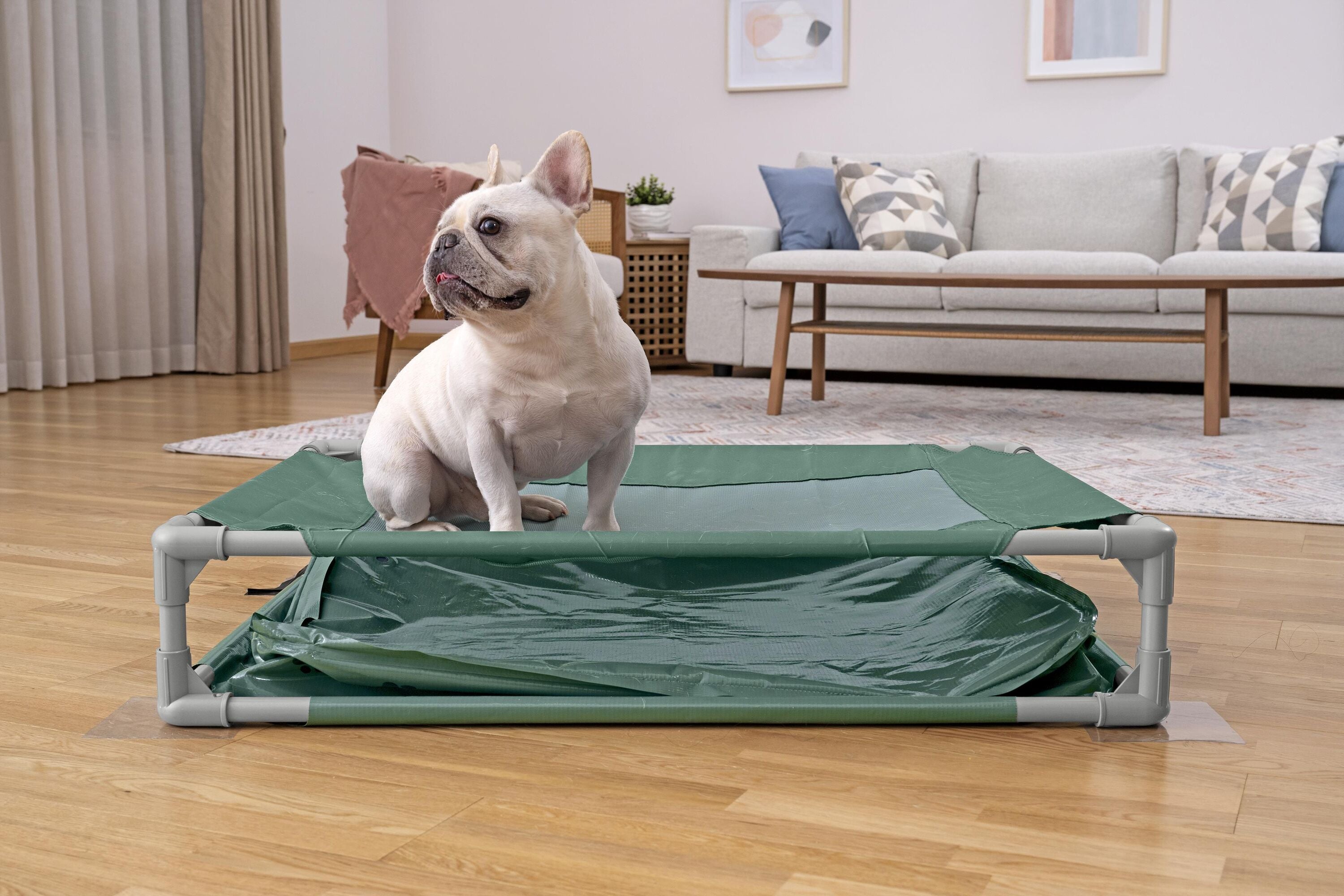 bestway-pool-fetchin-pet-play-pool-and-elevated-bed-102-x-74-x-20cm-green-6