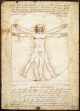 EuroGraphics Vitruvian Man by Leonardo Da Vinci - 1000Pcs