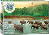 EuroGraphics Save The Planet!Animal King - 1000Pcs