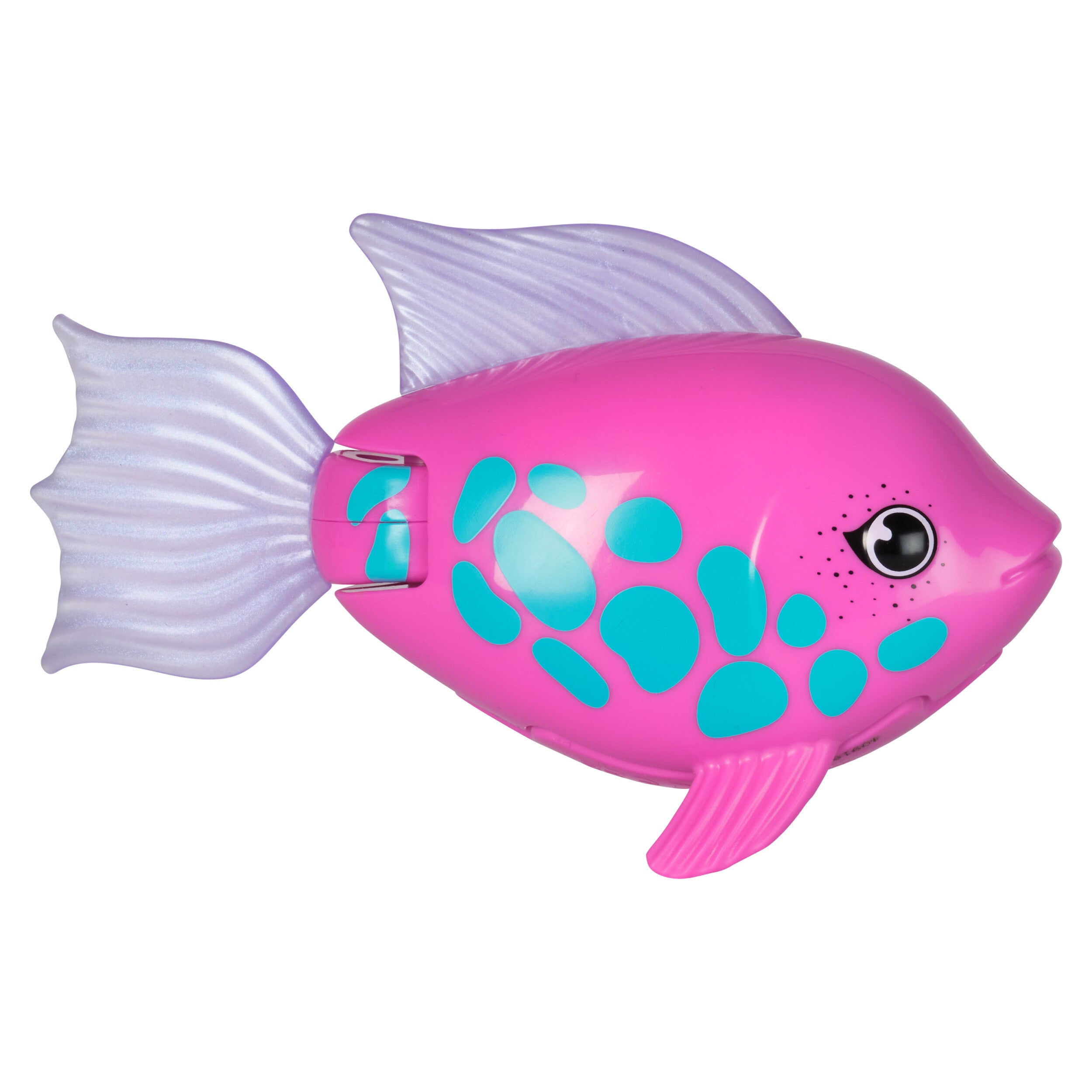 swimways-battery-operated-rainbow-reef-1pc-assorted-6