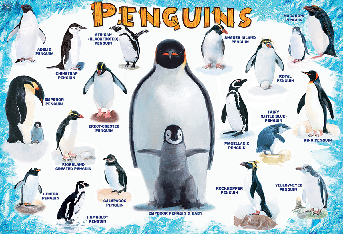 eurographics-penguins-puzzle-100pcs - 3
