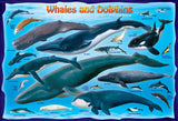 EuroGraphics Whales & Dolphins - 100Pcs