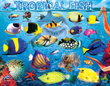 EuroGraphics Tropical Fish - 100Pcs