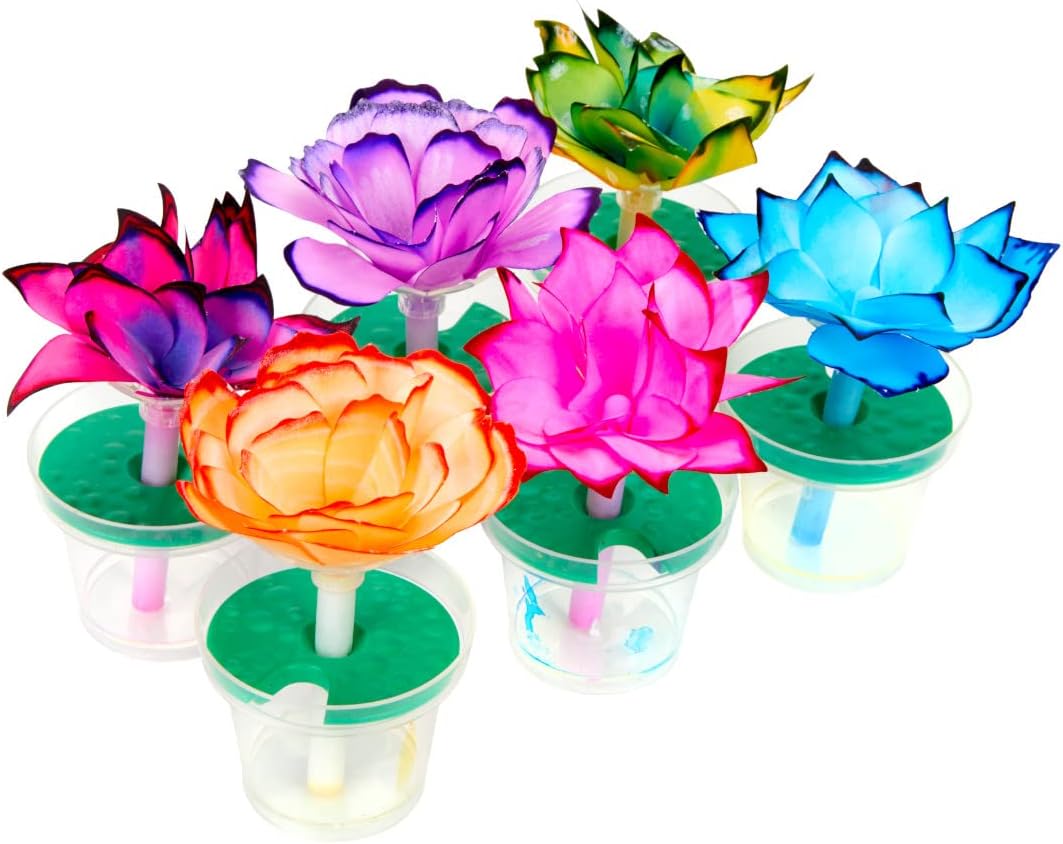 Crayola Paper Flower Science Kit - Laadlee