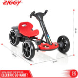 Ziggy Mini E-Kart