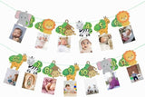 Brain Giggles Animal Jungle 1st Birthday Baby Monthly Photo Banner