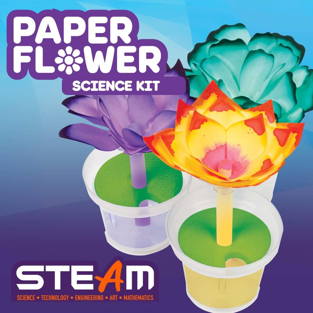 Crayola Paper Flower Science Kit - Laadlee