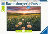 Ravensburger Dandelions at Sunset Puzzle - 500pcs