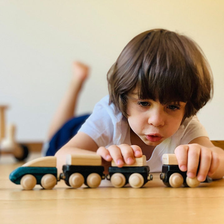 plantoys-hybrid-train-7
