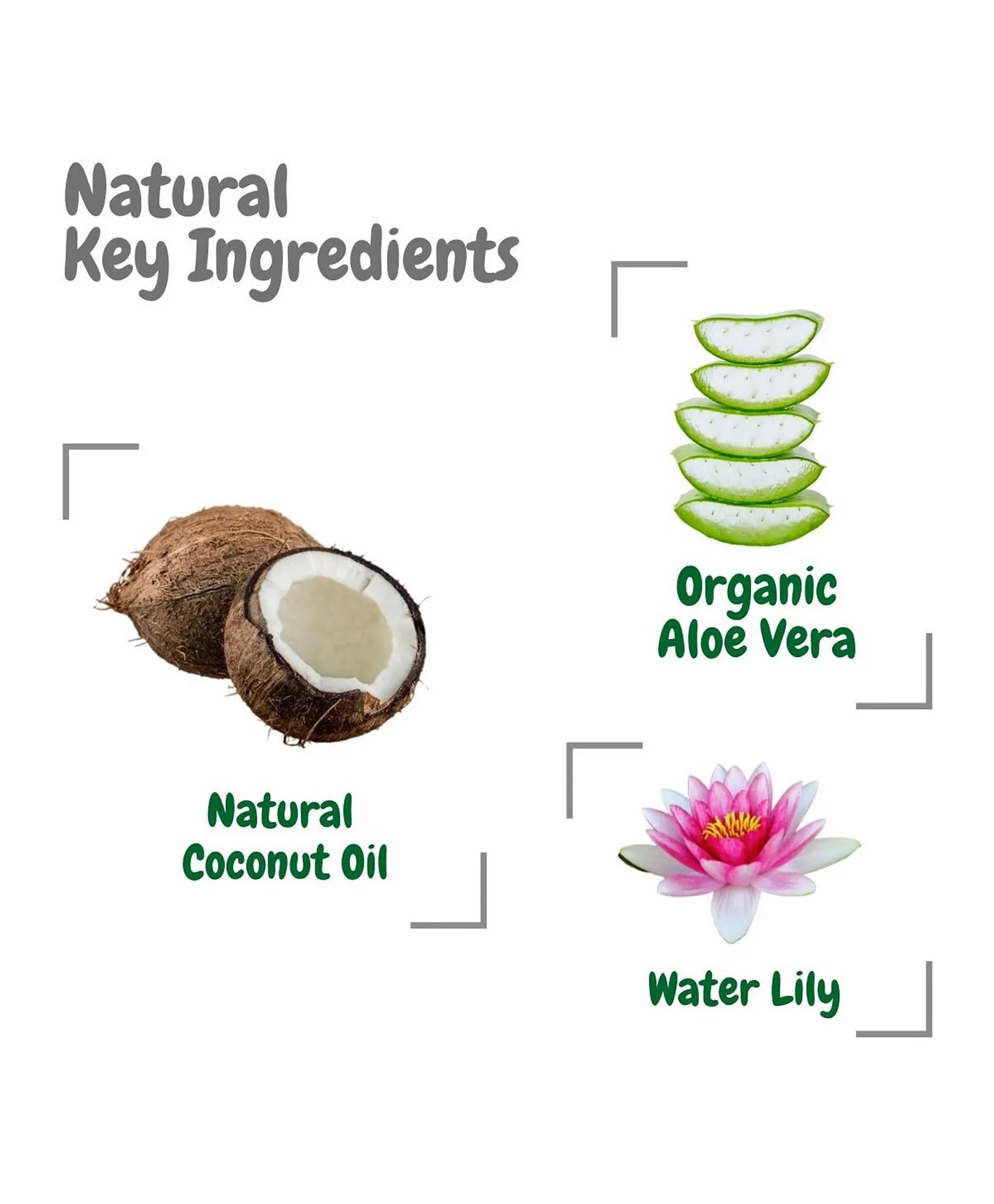 Aleva Naturals Bottle & Dish Liquid Water Lily - Travel Size - 100ml - Laadlee