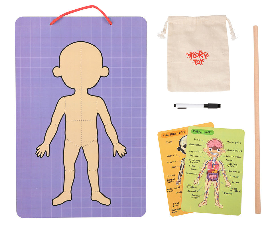 Tooky Toys Body Magnetic Chart - Laadlee