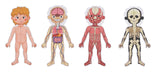 Tooky Toys Body Magnetic Chart - Laadlee