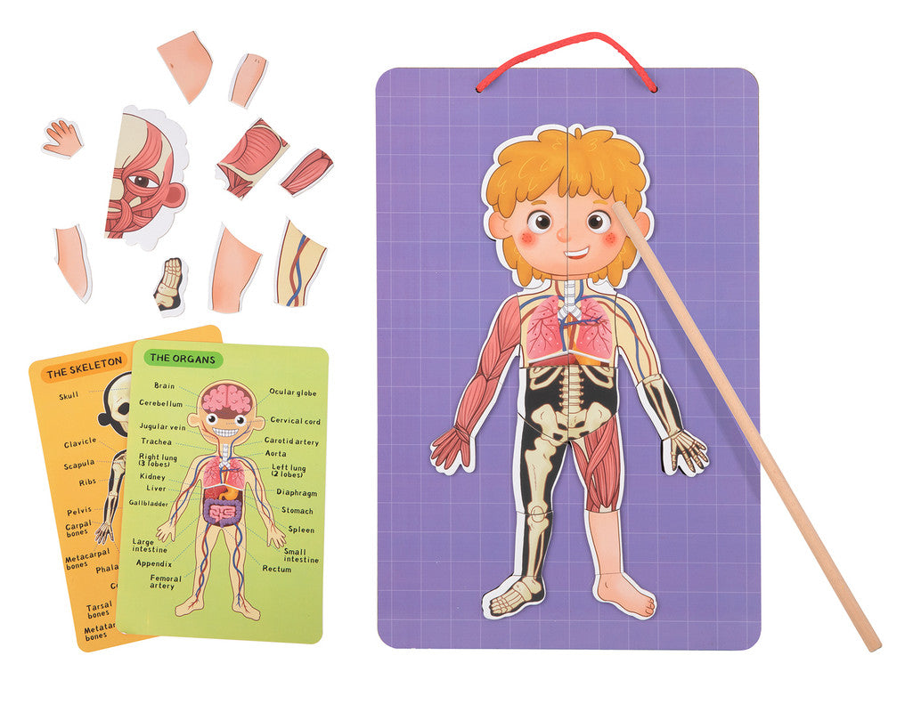 Tooky Toys Body Magnetic Chart - Laadlee