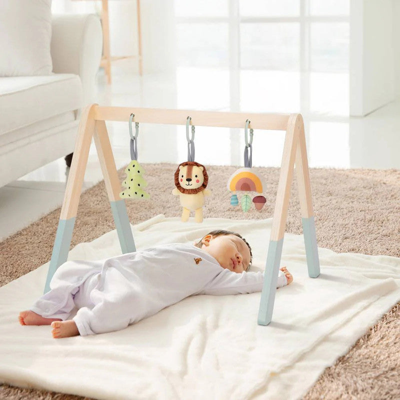 Tooky Toys Baby Gym