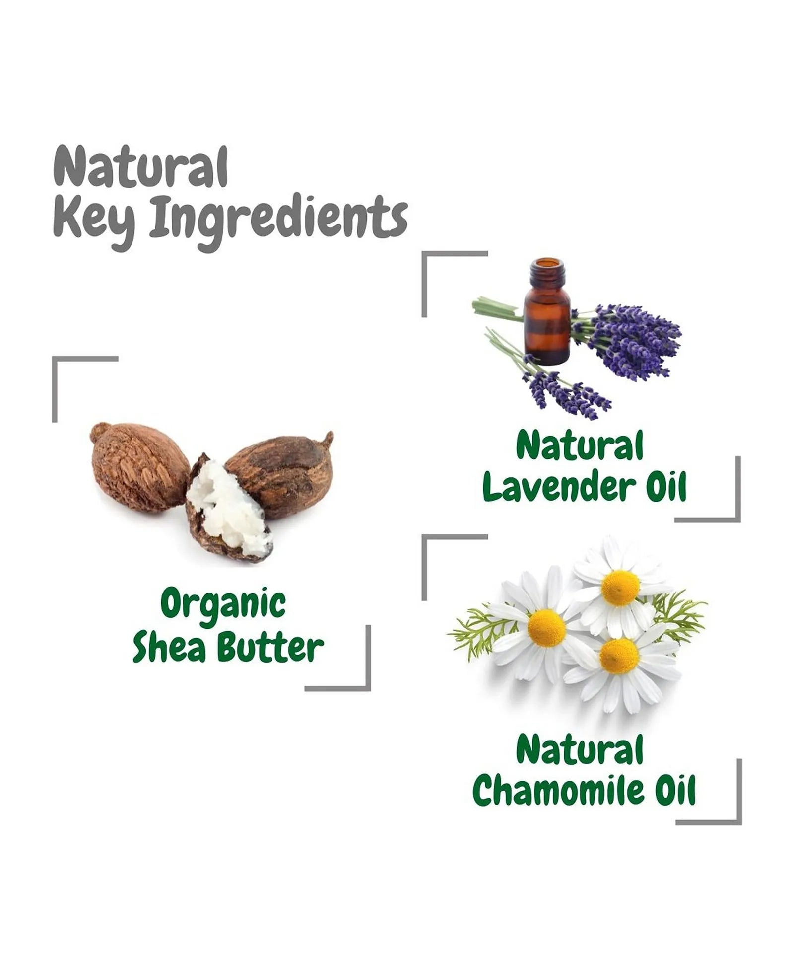 Aleva Naturals Sleep Easy Calming Lotion - 240ml - Laadlee