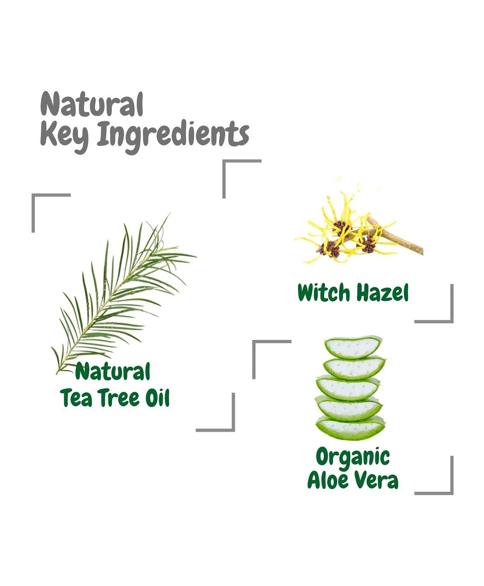 Aleva Naturals Maternal Care Foaming Fem Wash Travel Size - 50ml - Laadlee