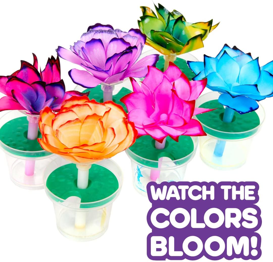Crayola Paper Flower Science Kit - Laadlee