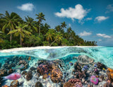 Ravensburger A Dive in the Maldives Jigsaw Puzzle - 2000pcs