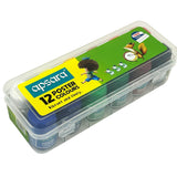 Apsara Poster Colours - Set of 12