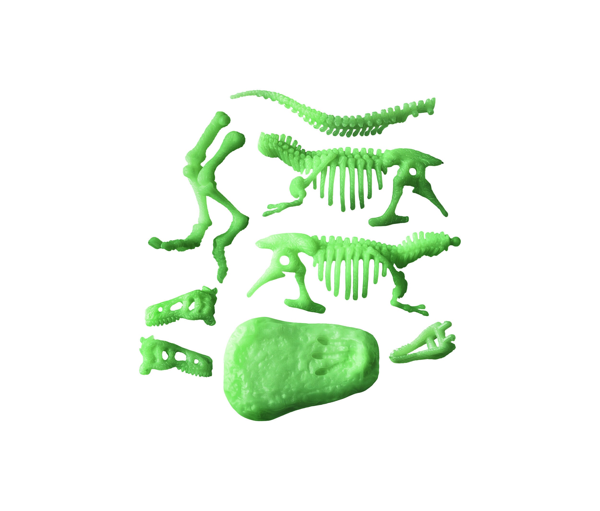 clementoni-archeofun-t-rex-7