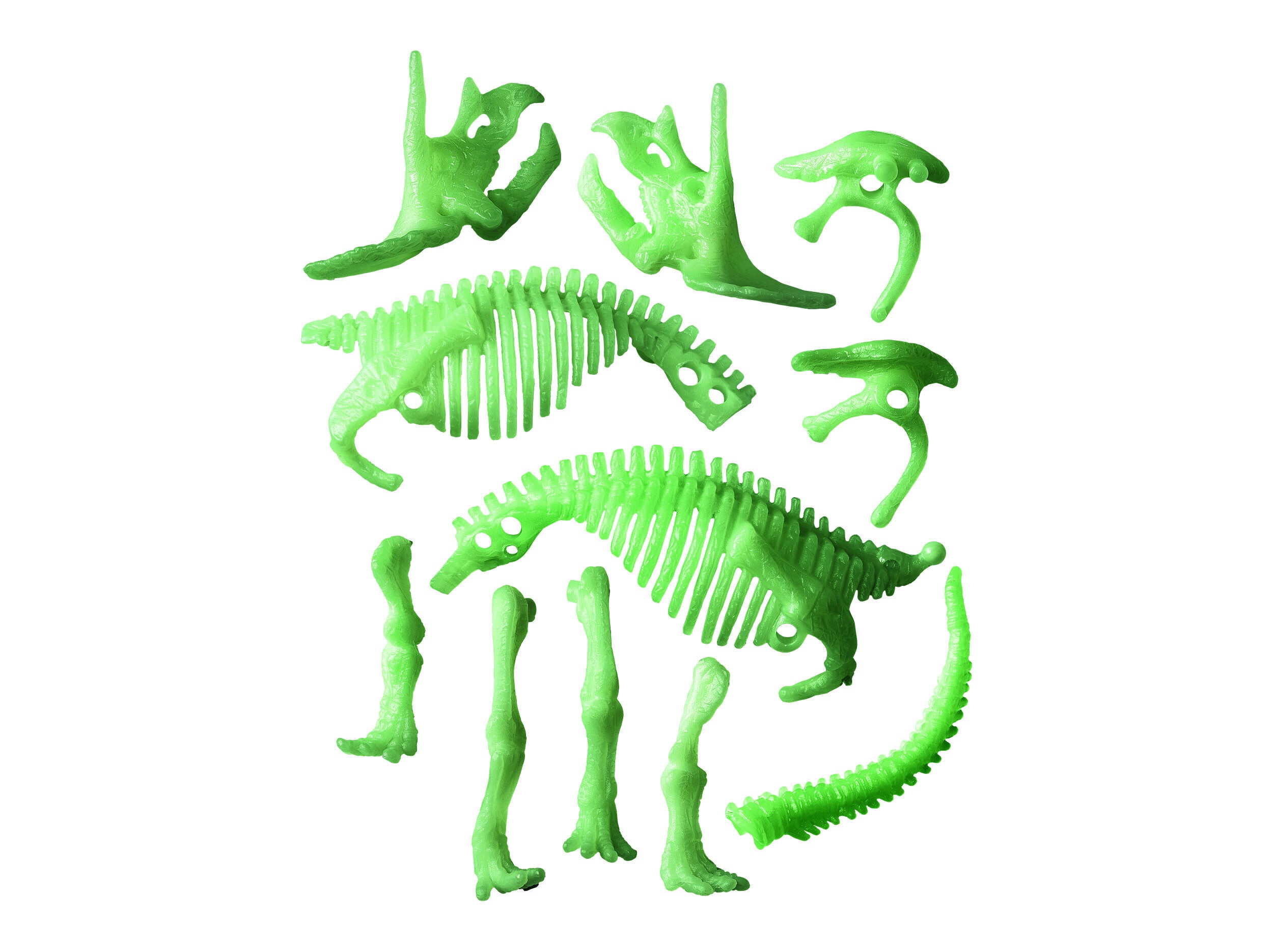 clementoni-science-play-archeofun-triceratop-8