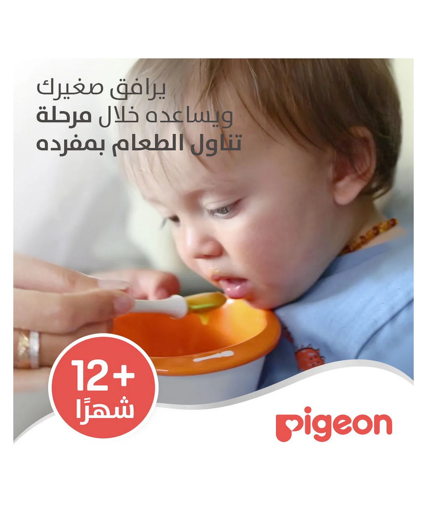 Pigeon Do-It-Myself Dish - Orange