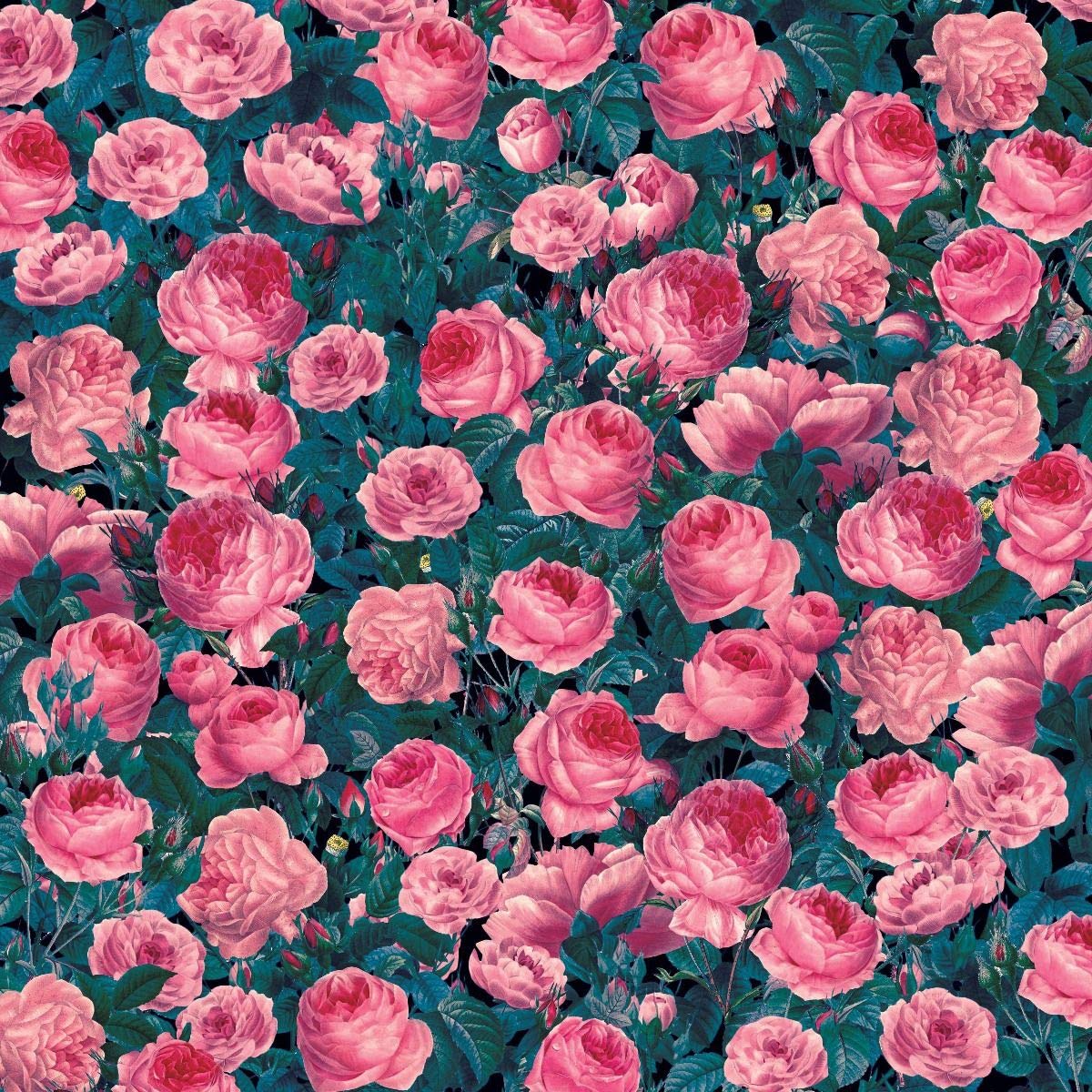 cricut-infusible-ink-transfer-sheets-pack-of-2-cabbage-rose-3