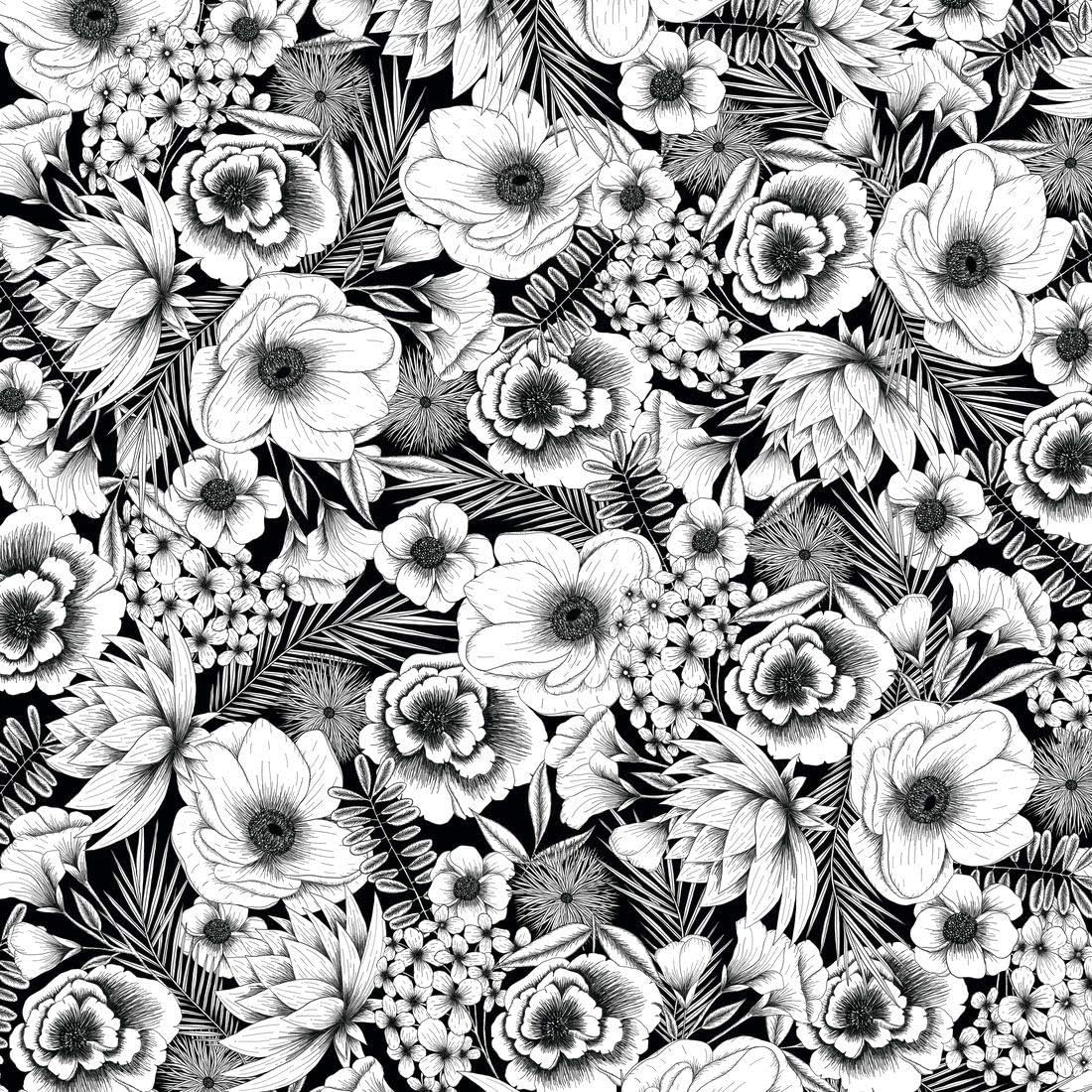 cricut-infusible-ink-transfer-sheets-pack-of-2-black-botanicals-2