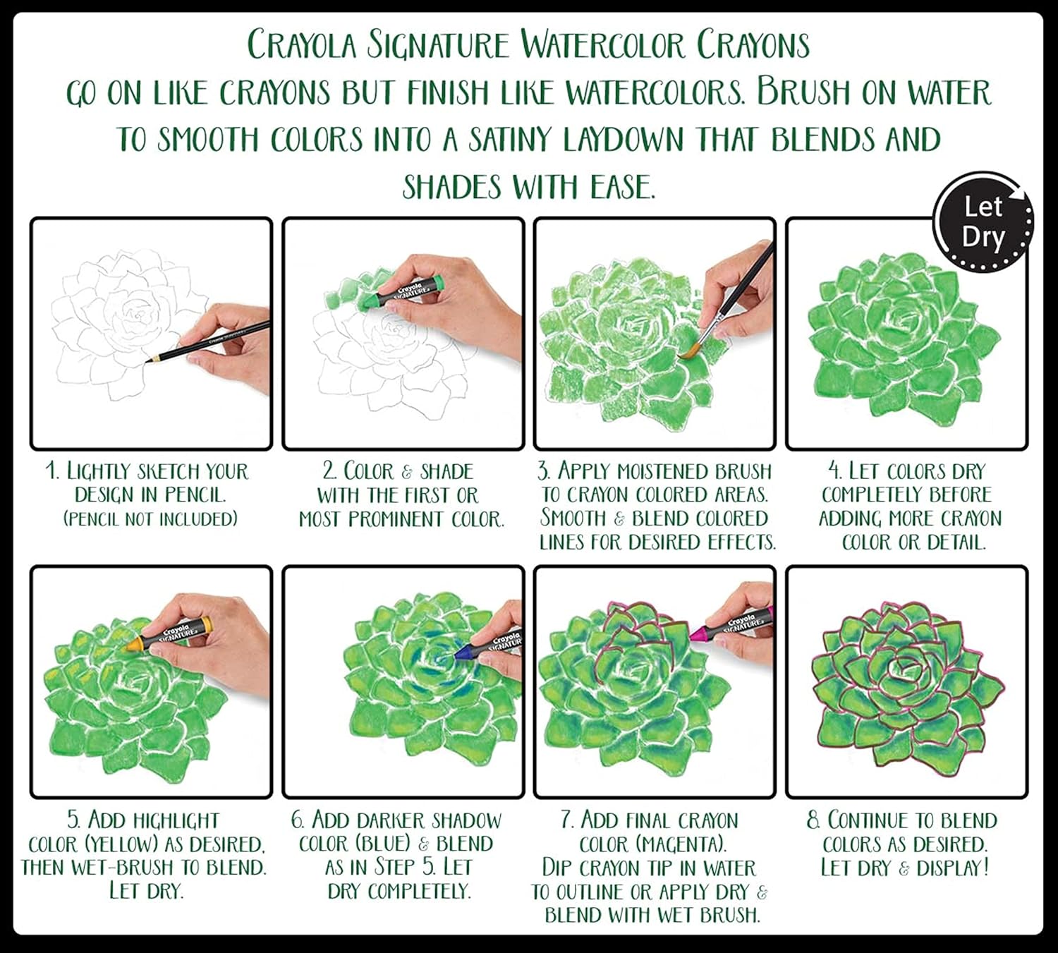 Crayola Signature Watercolor Crayons - Pack of 12 - Laadlee