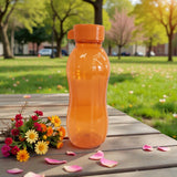 Astro Basic Bottles 500ml - Orange
