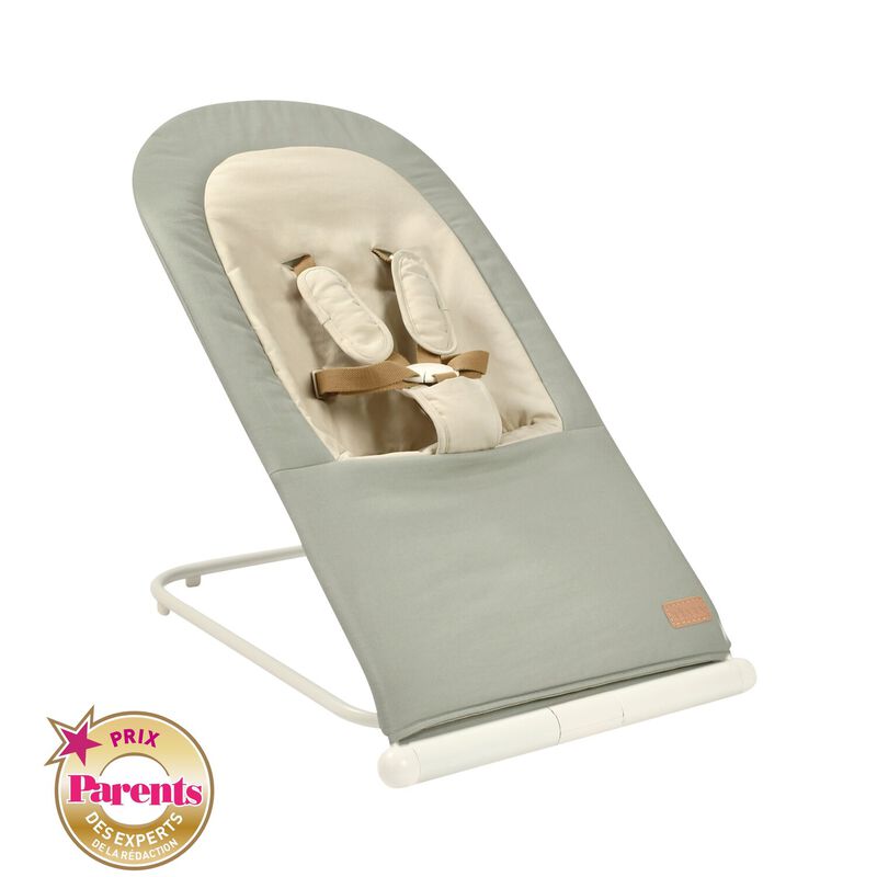 Beaba Foldable Bouncer Eazy Relax - Lichen