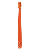 Flipper Oral Hygienic Set Fun Animal Kids Toothbrush With Holder - Penguin