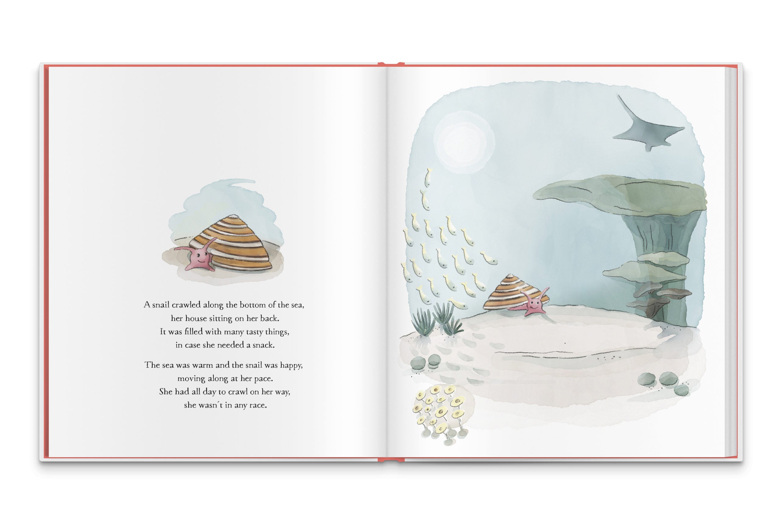 The Crush Series Crab Crush Story Book -  Large Format - Laadlee