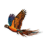 Avenir Scratch Stickers - Bird