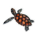 Avenir Scratch Stickers - Sea Animal
