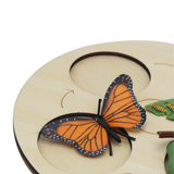andreu-toys-butterfly-metamorphosis-life-stages-of-the-butterfly-2