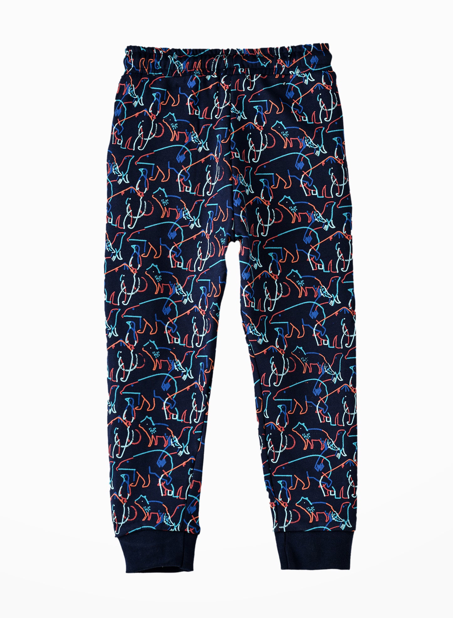 Jam Boys Dinosaur Print Joggers with Drawstring