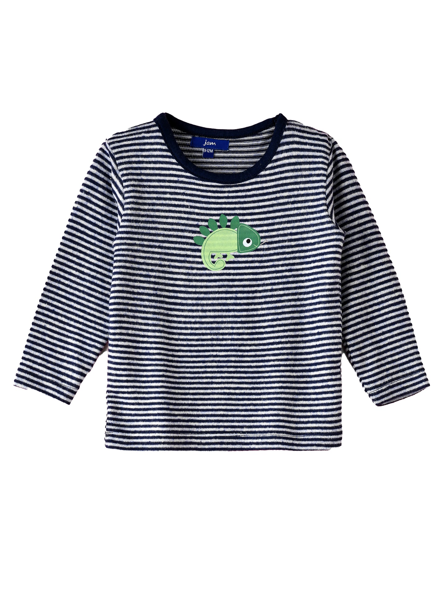 Jam Boys Navy Striped Chameleon Sweatshirt