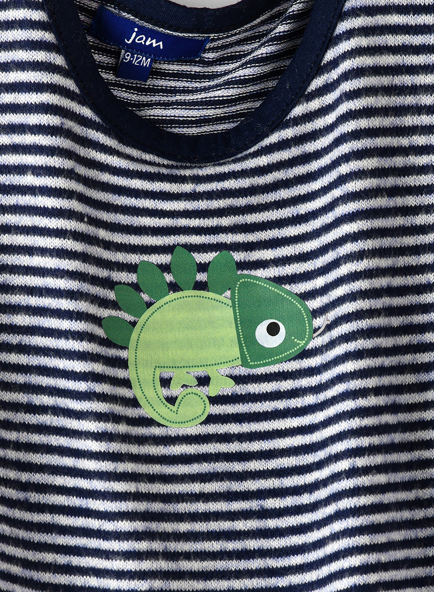 Jam Boys Navy Striped Chameleon Sweatshirt