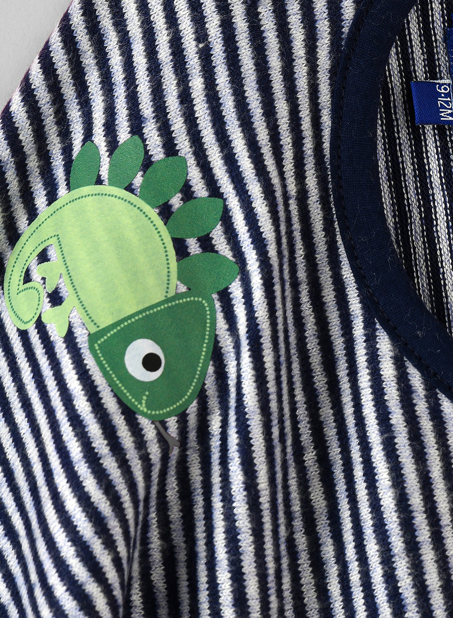 Jam Boys Navy Striped Chameleon Sweatshirt