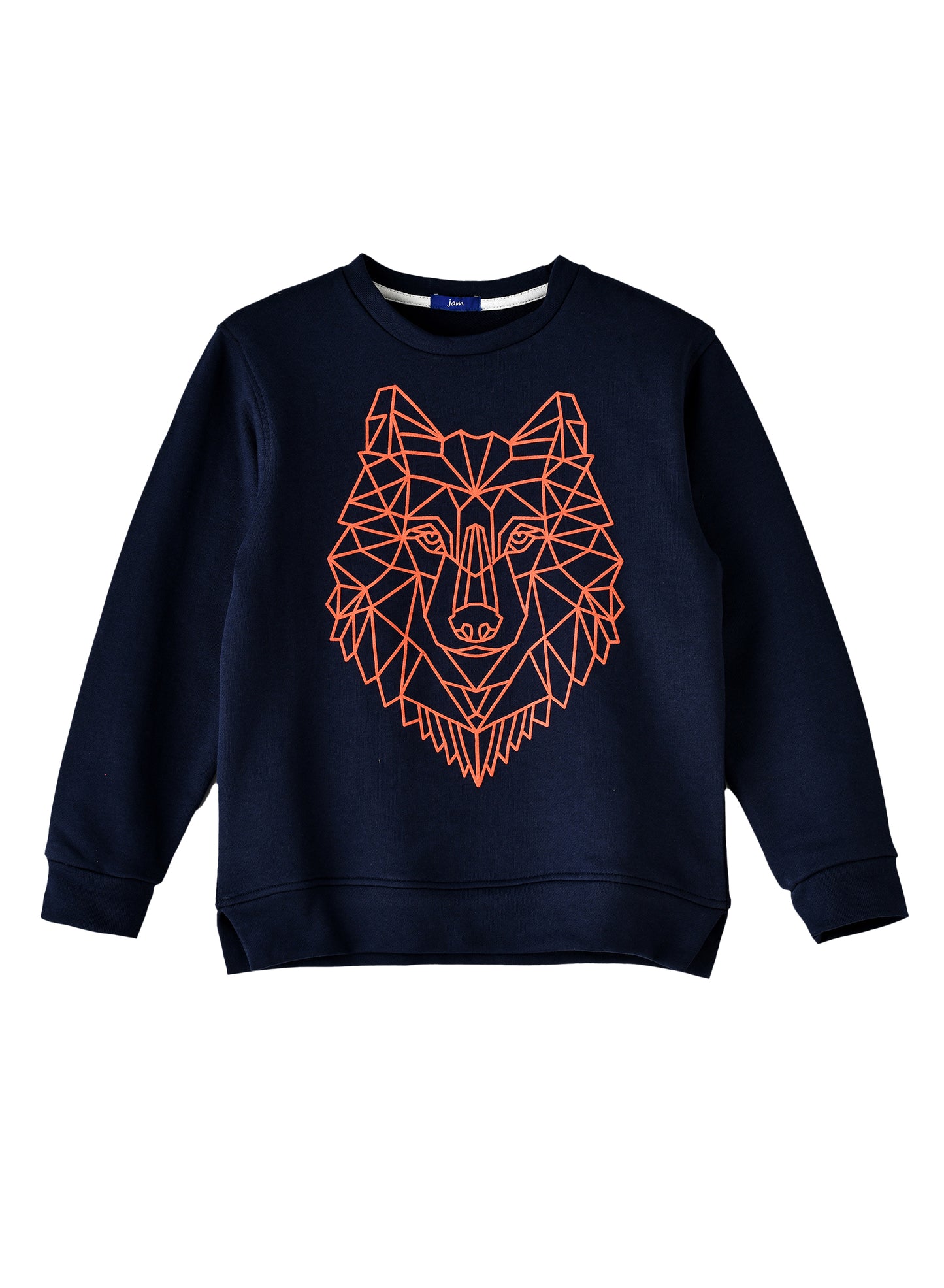 Jam Boys Geometric Wolf Graphic Sweatshirt