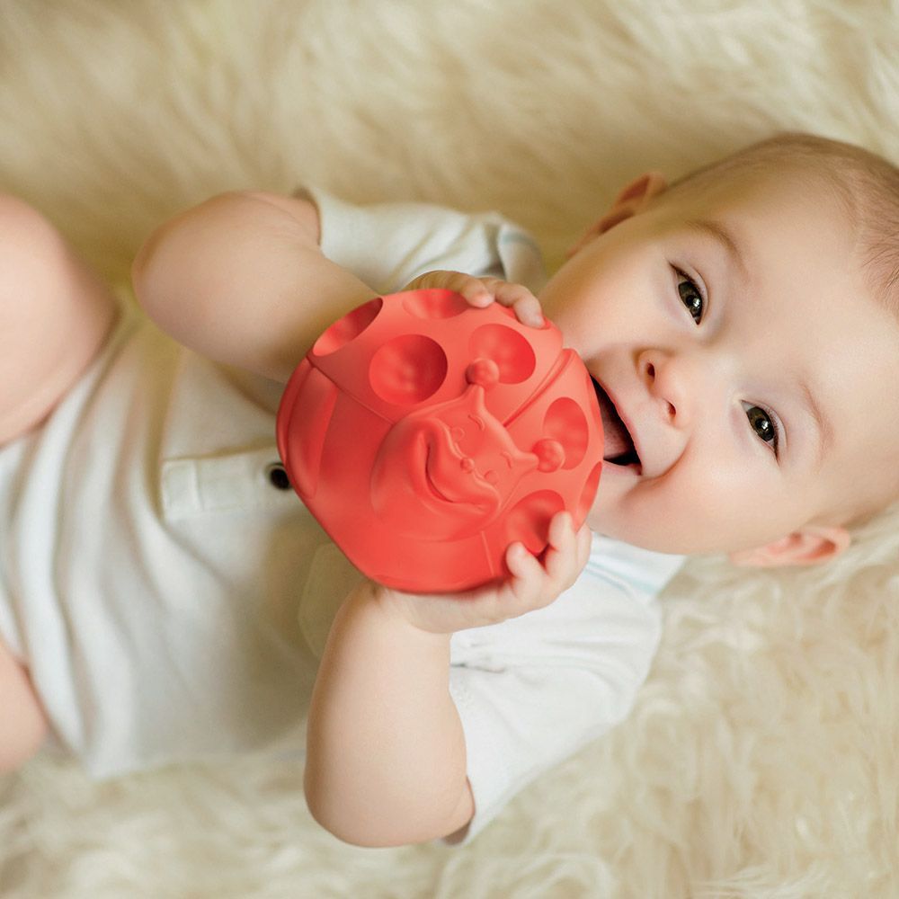clementoni-baby-animal-sensory-balls-5