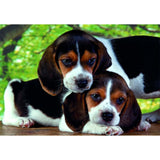 clementoni-puzzle-high-quality-collection-close-toge-and-poster-500pcs-3