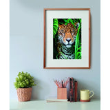 clementoni-puzzle-high-quality-collection-jaguar-and-poster-500pcs-4