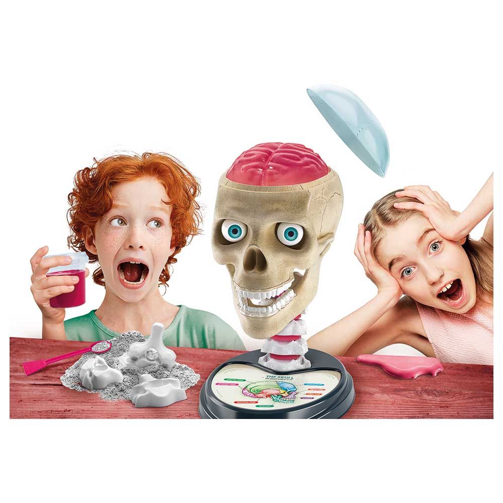 clementoni-science-play-crazy-anatomy-5