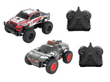 D-Power 1:24 Scale Twin 2.4GHz Remote Control Off-Road Truck Set – AUDI RS Q e-tron Dakar Rally & TOYOTA HILUX AXCR With Batteries